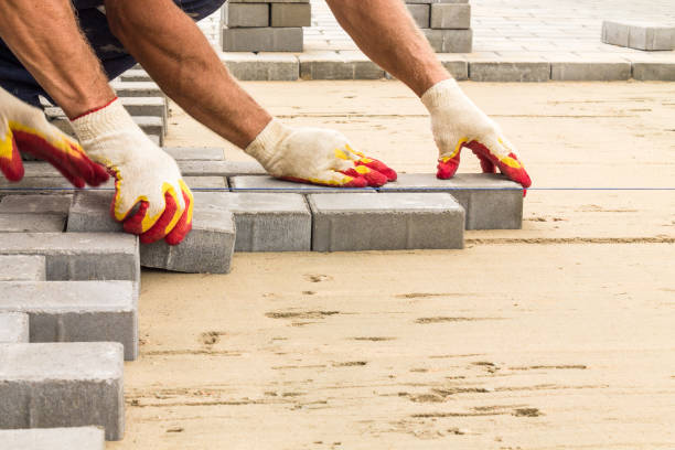 Best Driveway Paving Contractor  in Forest Hills, MI